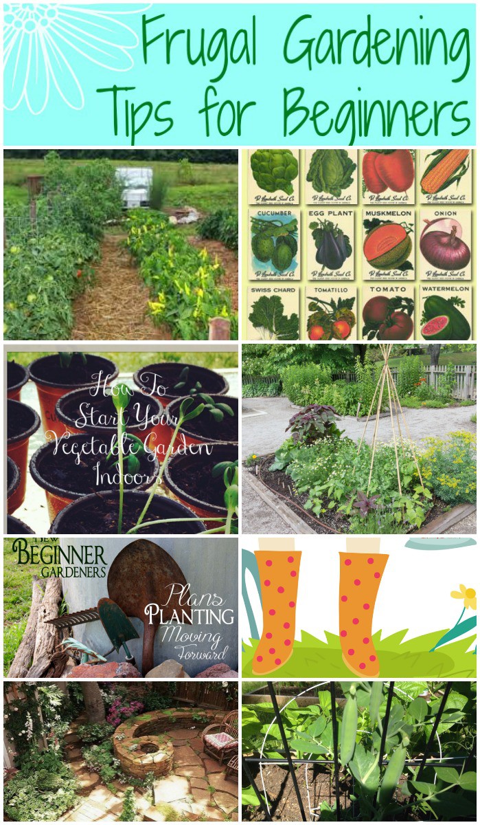 Beginner Gardening Tools and Gardener Essentials Tools
