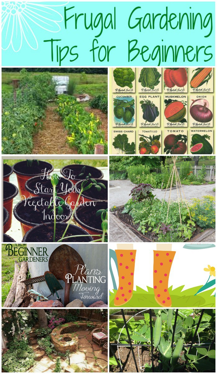 vegetable gardening guide