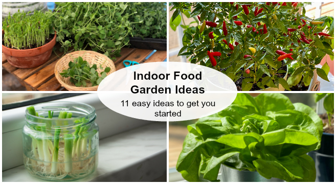 Is it possible to grow vegetables indoors during winter?
