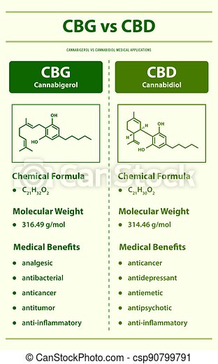 is hemp oil good for you