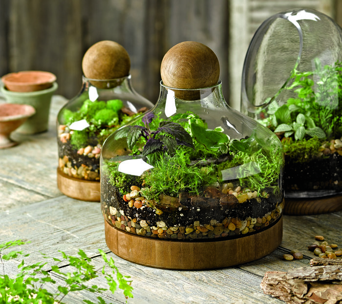 container herb gardening ideas