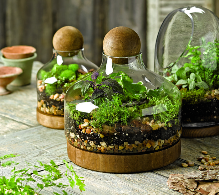 herb gardening for beginners