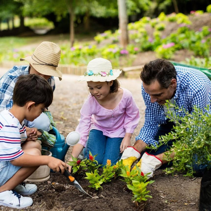 small backyard gardening ideas