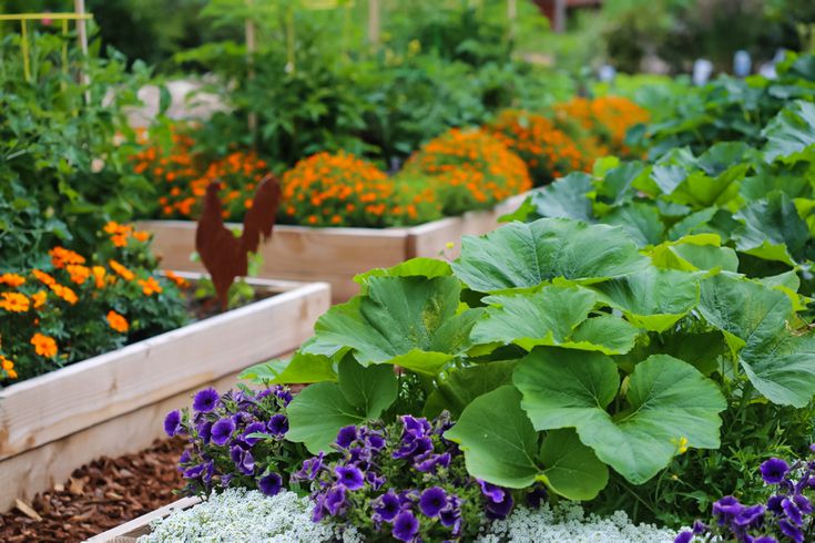 The Best Way to Water Vegetable Garden Plants
