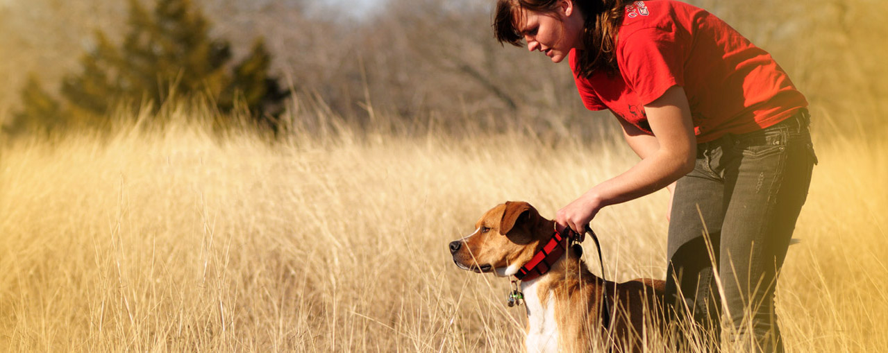 A Dog Trainer is a great option
