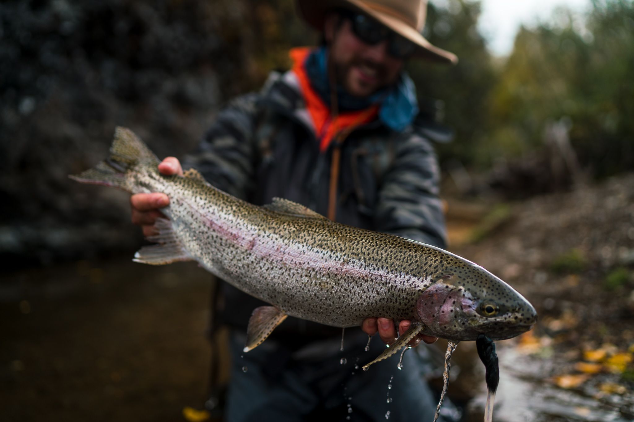 Fishing