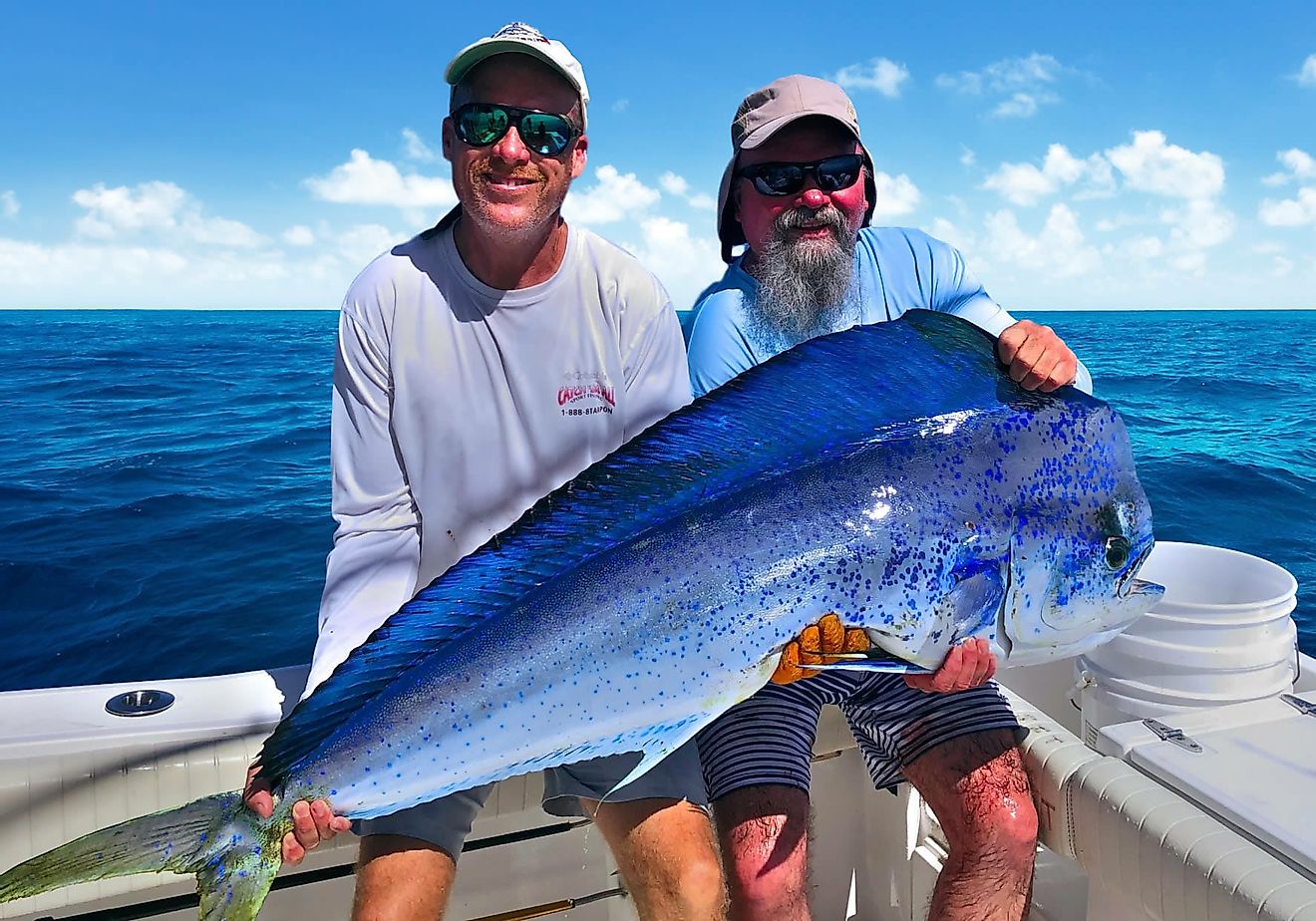 Charter Fishing Trips to Oahu
