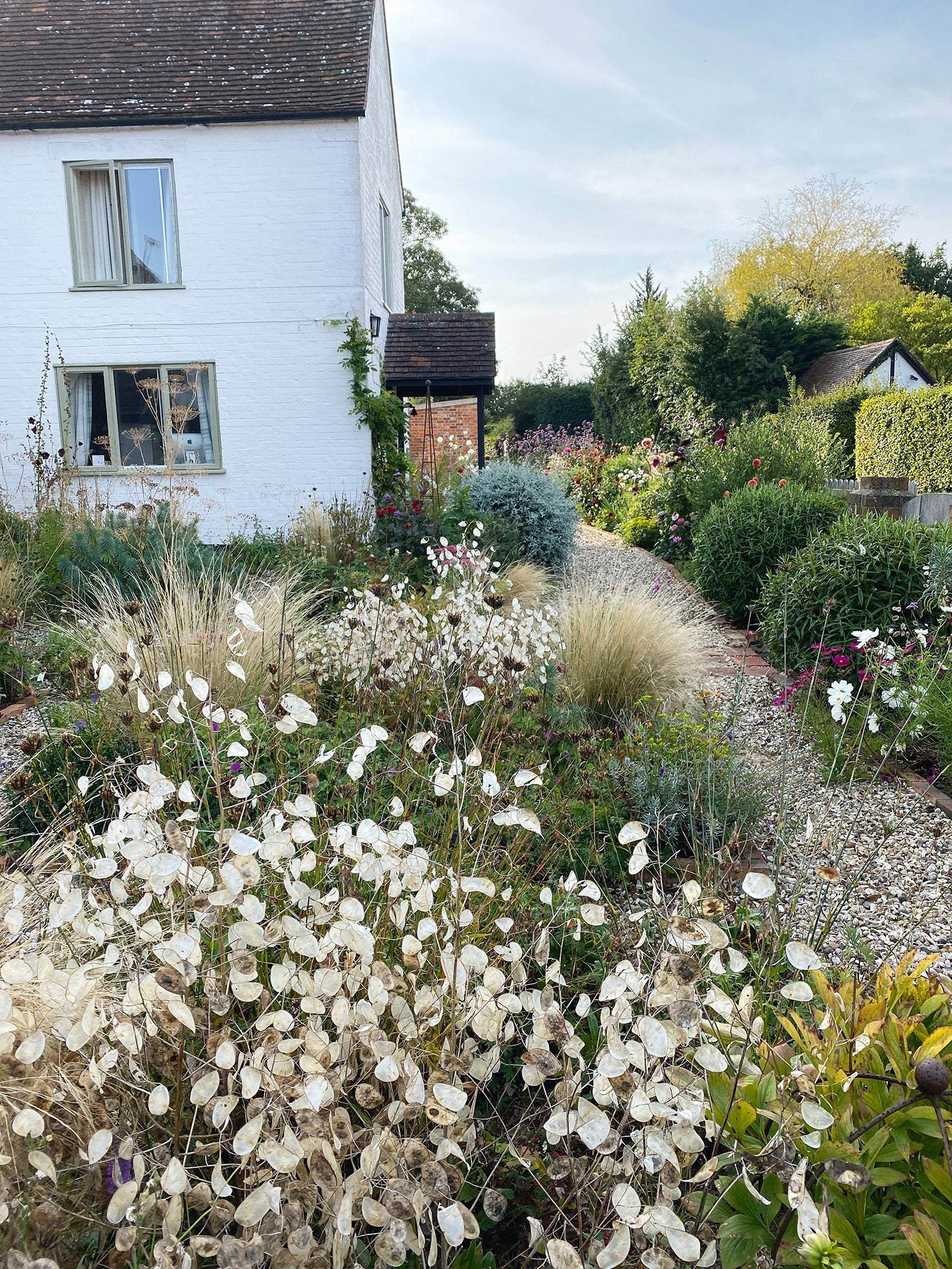 garden growing