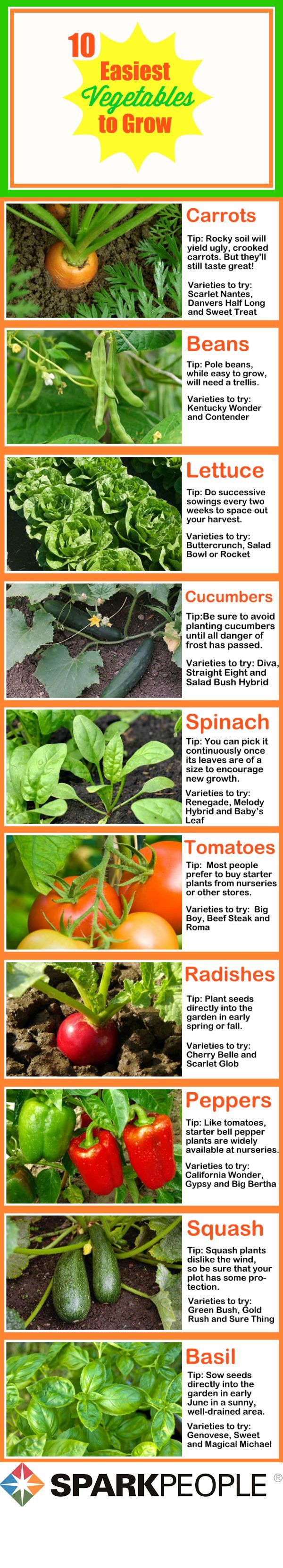 September''s Garden Ideas
