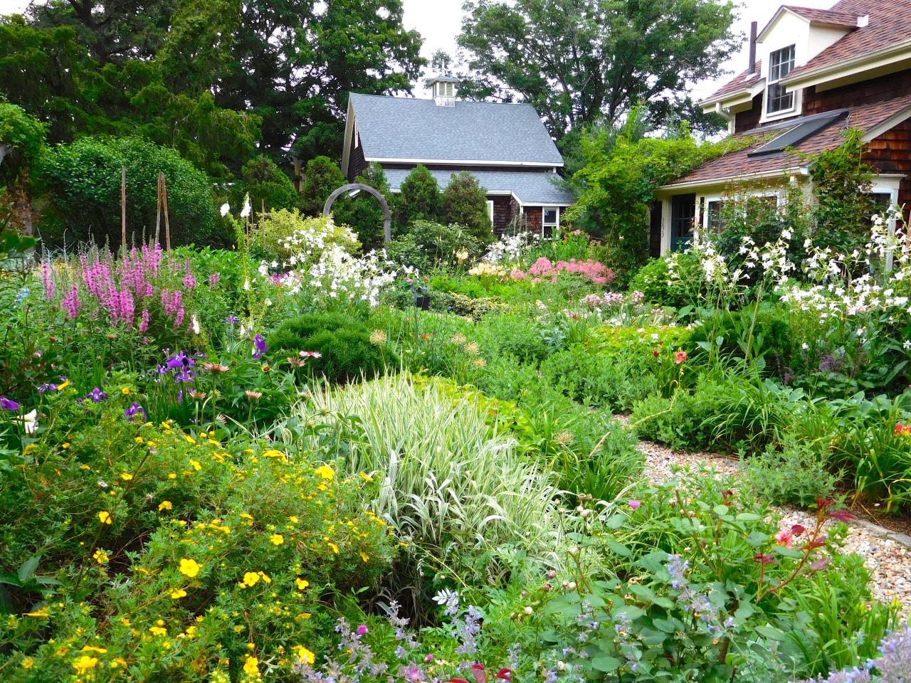Vegetable Garden: The Best Flowers
