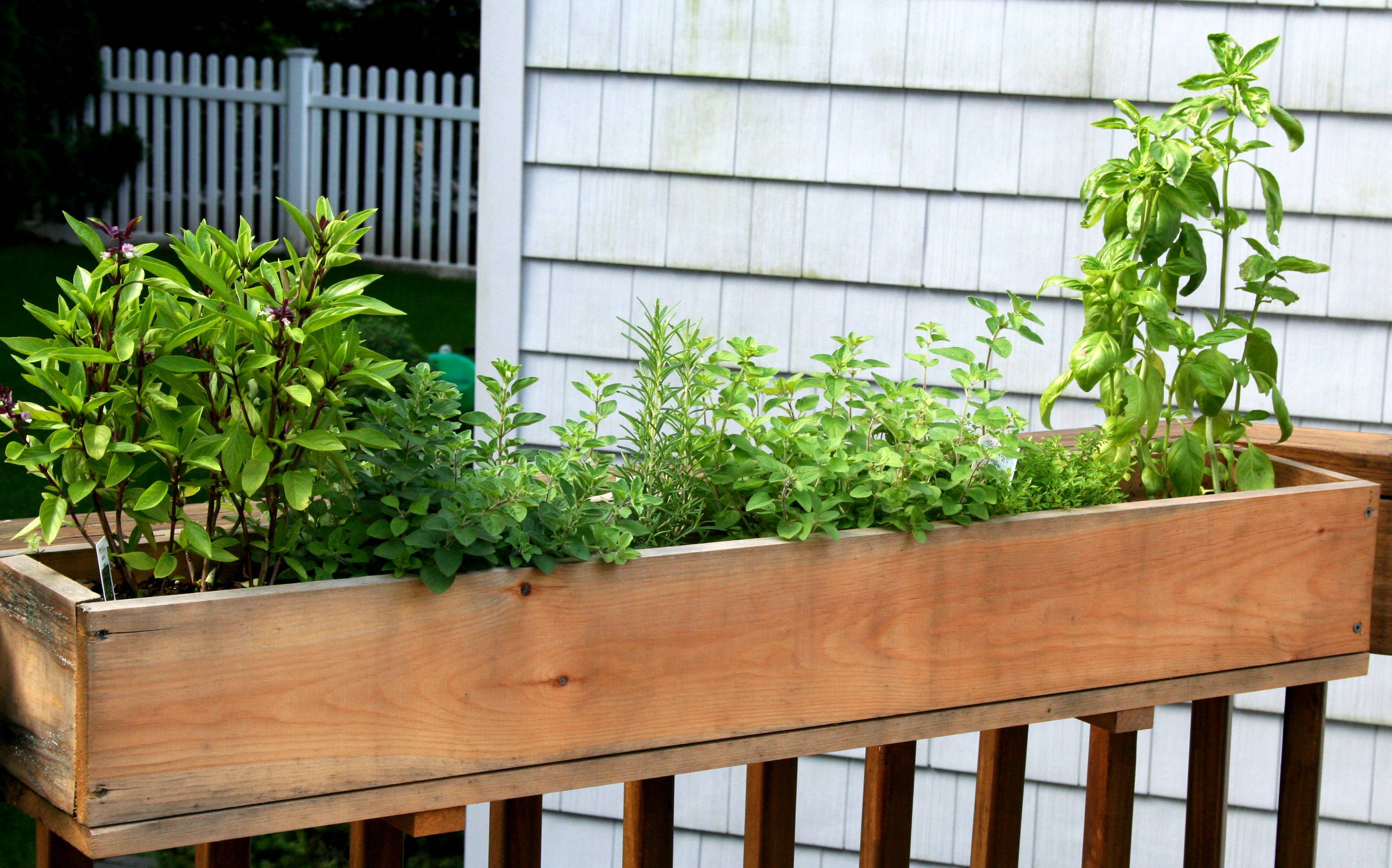 diy vertical gardening ideas