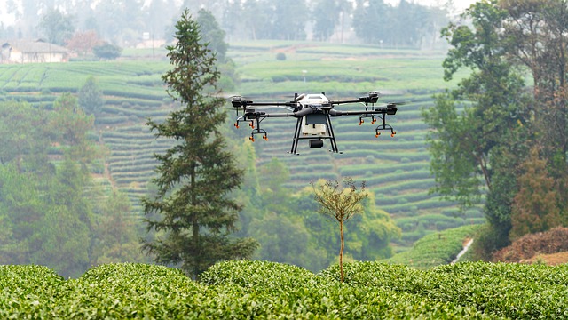 drones with camera and video display