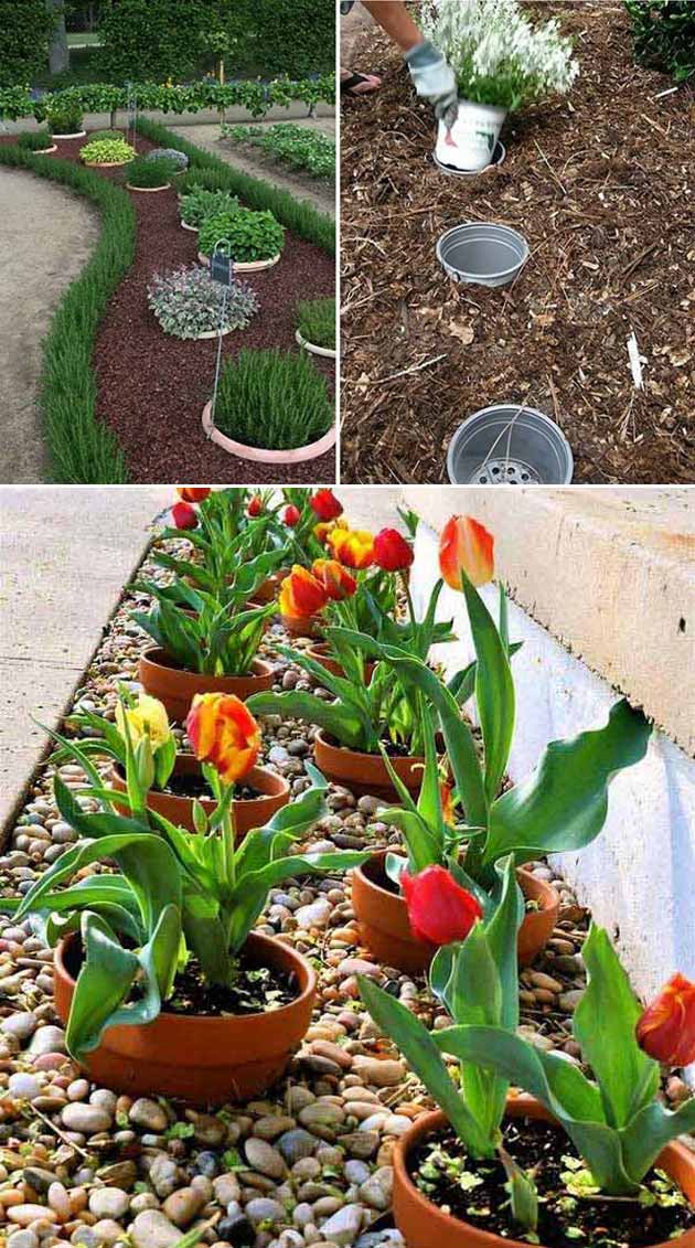 march gardening tips