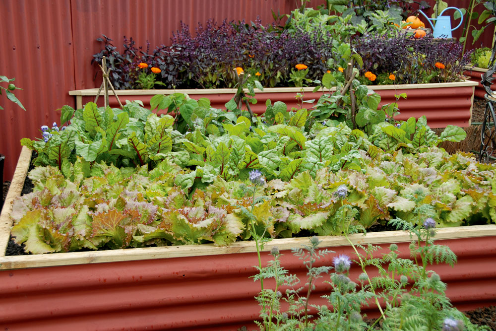 What is Indoor Gardening?
