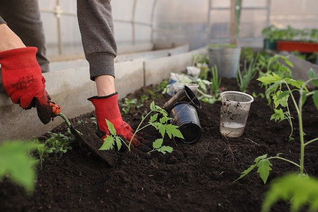 best soil for container vegetable gardening