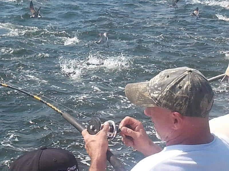 Three types of lures to speckled trout
