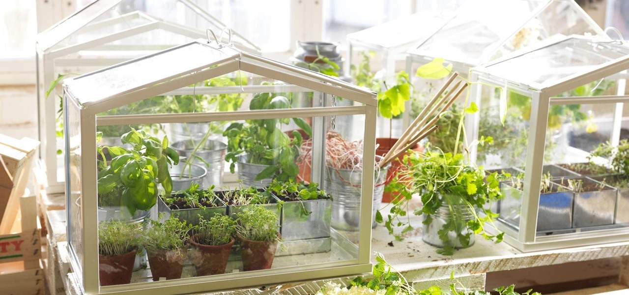 What is indoor gardening?
