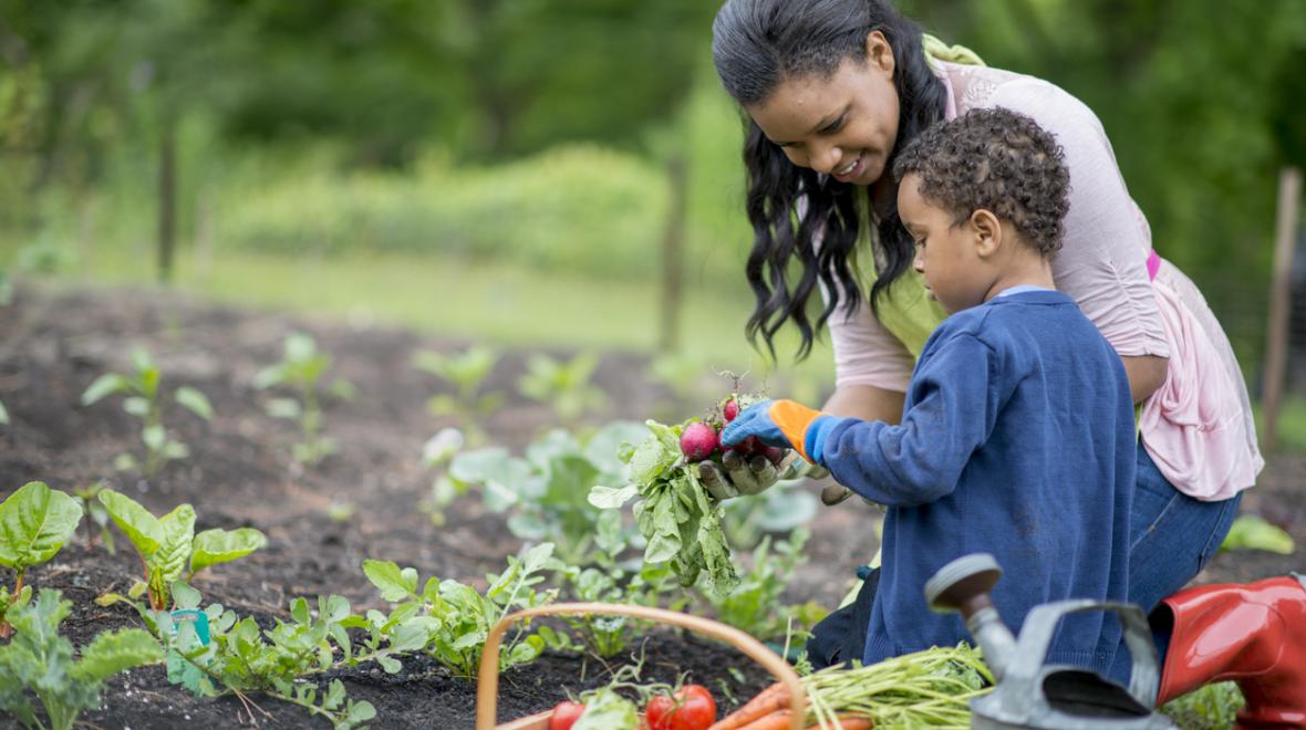 gardening tips michigan