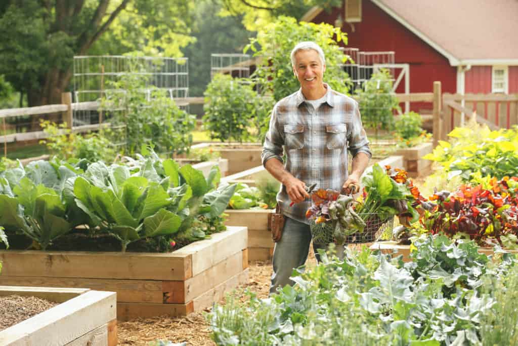 Square Foot Gardening Raised Vegetable Beds
