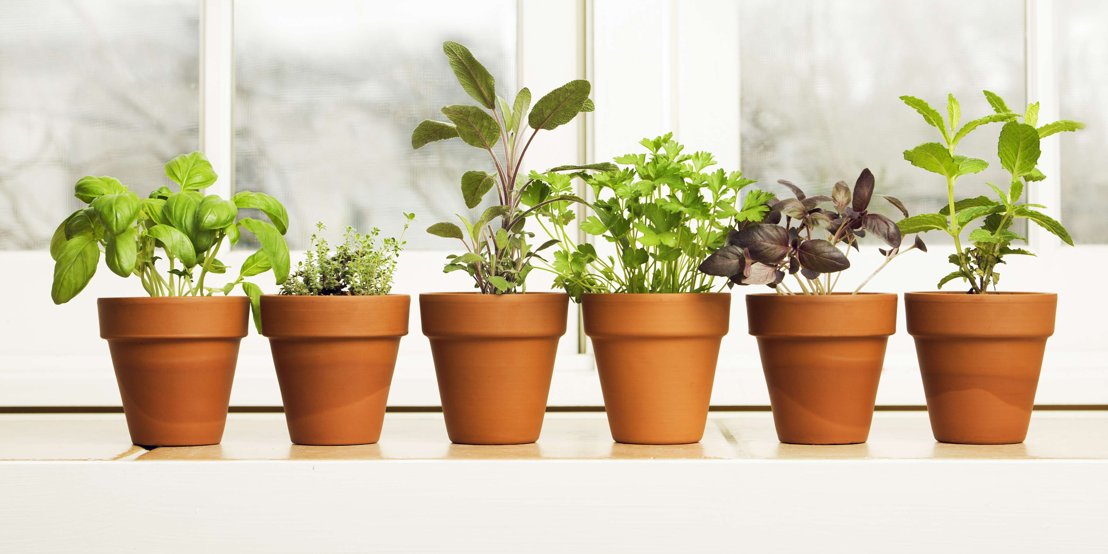 container herb gardening ideas