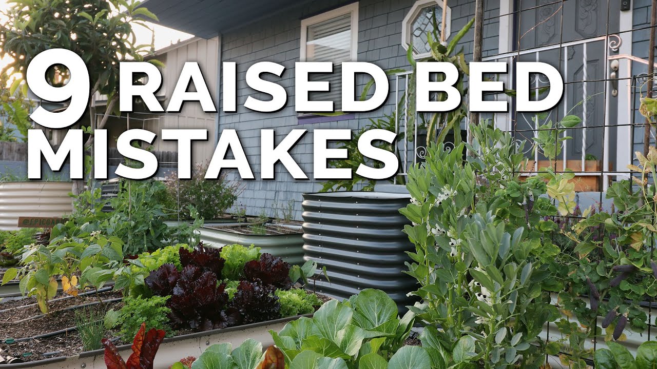 back to the roots kitchen herb gardening kit