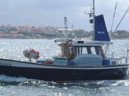 Spanish Mackerel Fishing rigs
