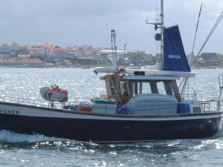 King Mackerel Fishing North Carolina
