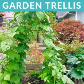 best gardening guide