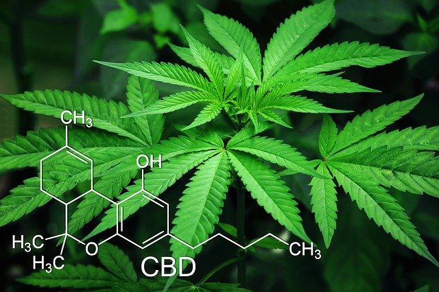 is cbd a cannabinoid