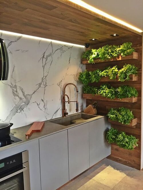 Indoor Vegetable Gardening Ideas
