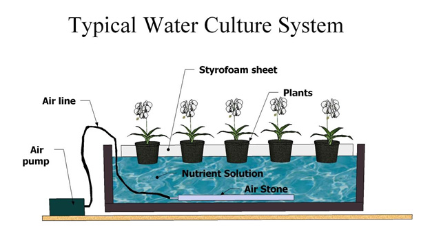 vegetable gardening soil