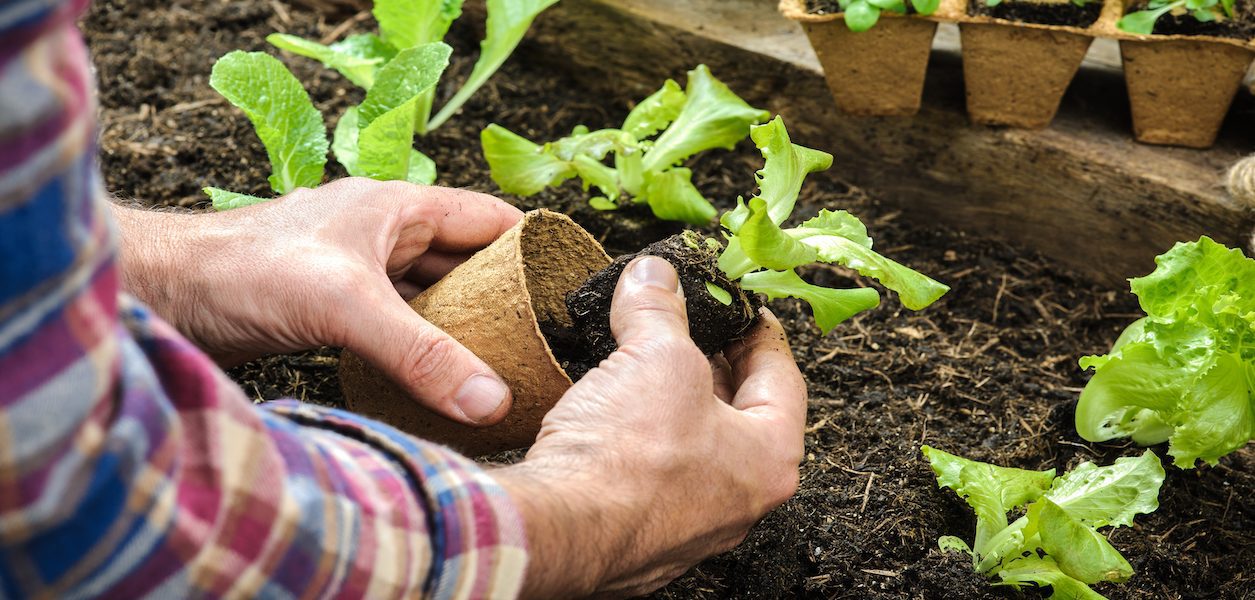 garden techniques