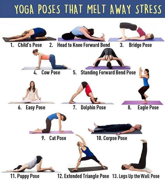 yoga for beginners