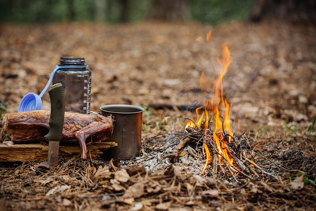 wilderness survival courses