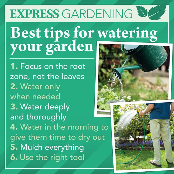 garden making tips