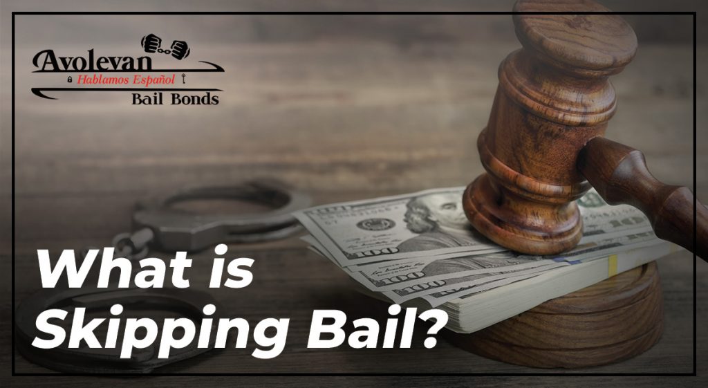 Florida Bail Bond License Requirements
