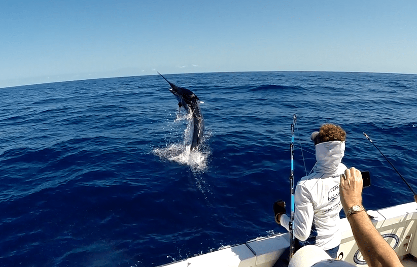 Spanish Mackerel fishing tips
