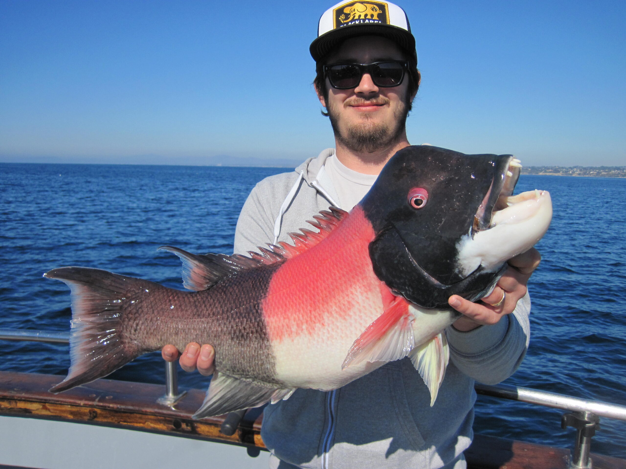 Yellowfin Tuna Fishing in Florida
