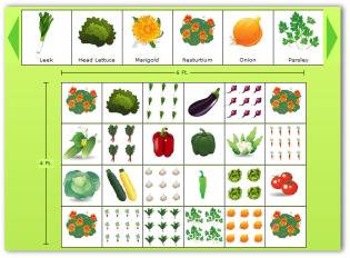 vegetable garden tips