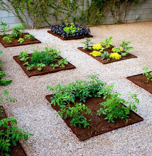 homestead gardening ideas