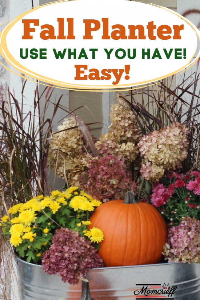 14 most clever gardening tips and ideas