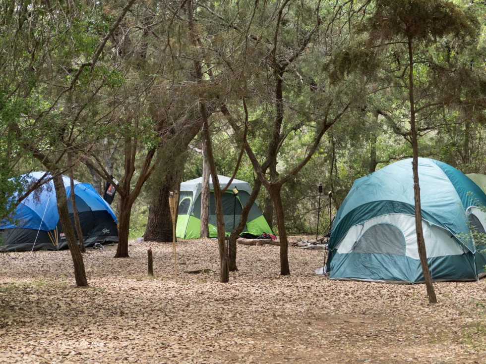 New York State Parks - Camping
