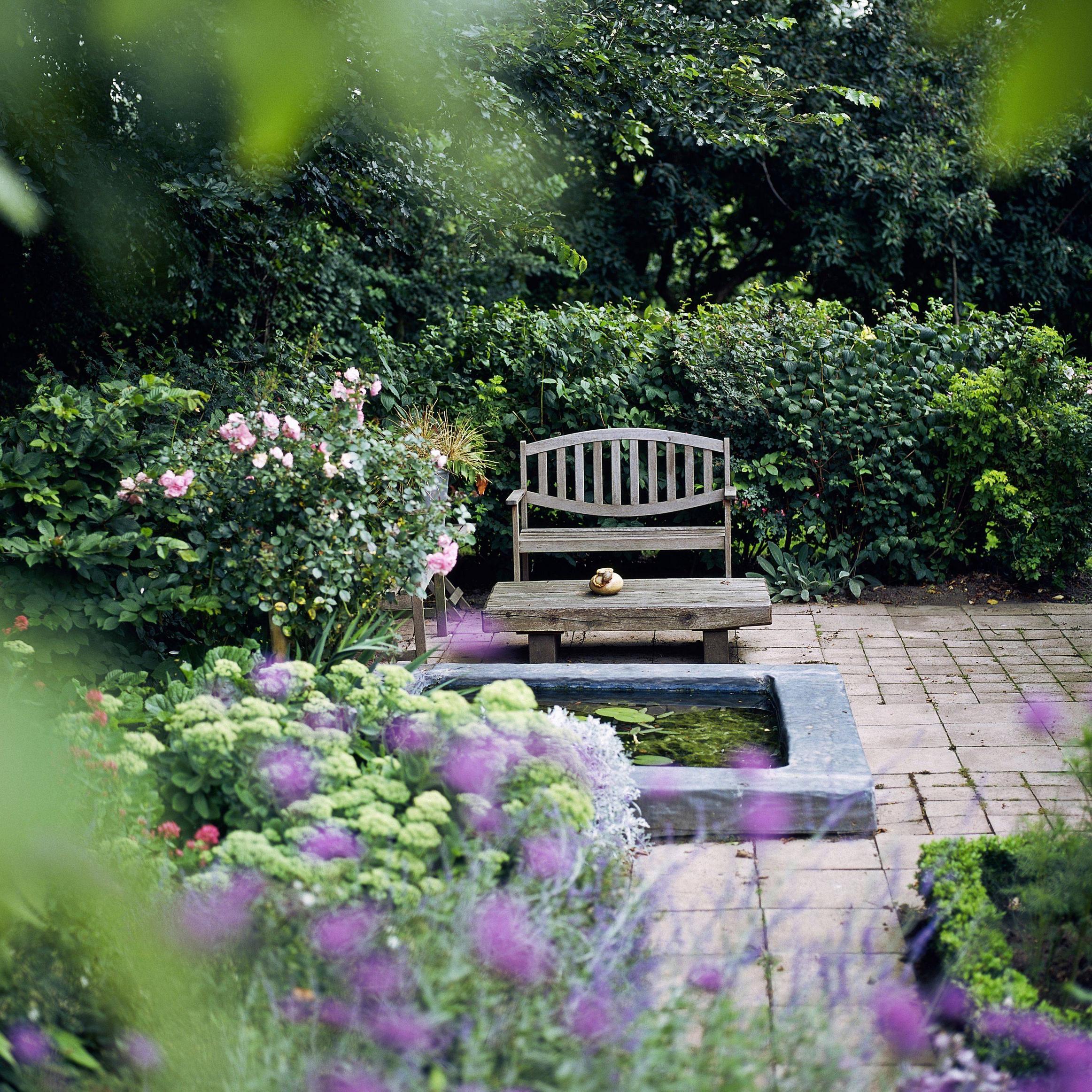 Watering Vegetable Gardens is the Best Way
