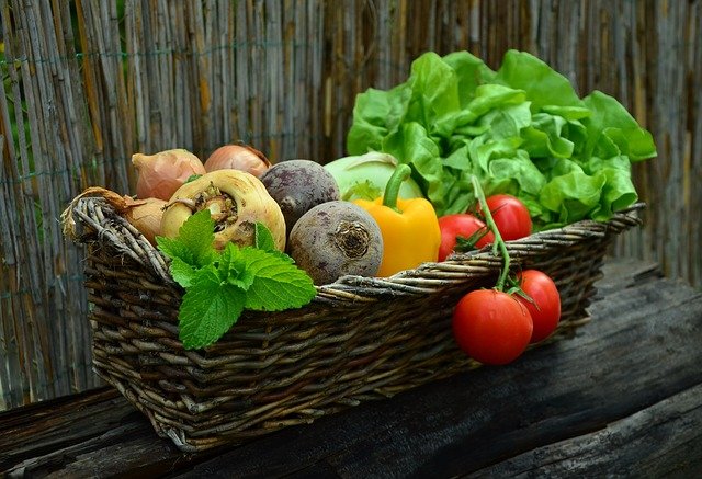 container herb gardening