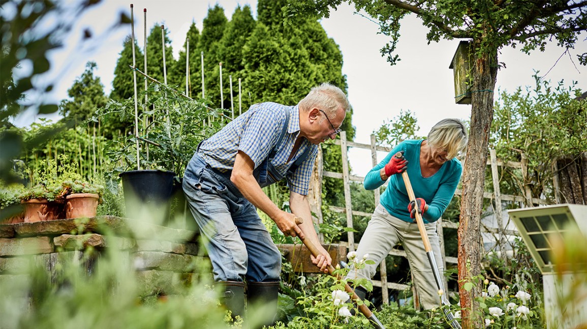 What is Indoor Gardening?
