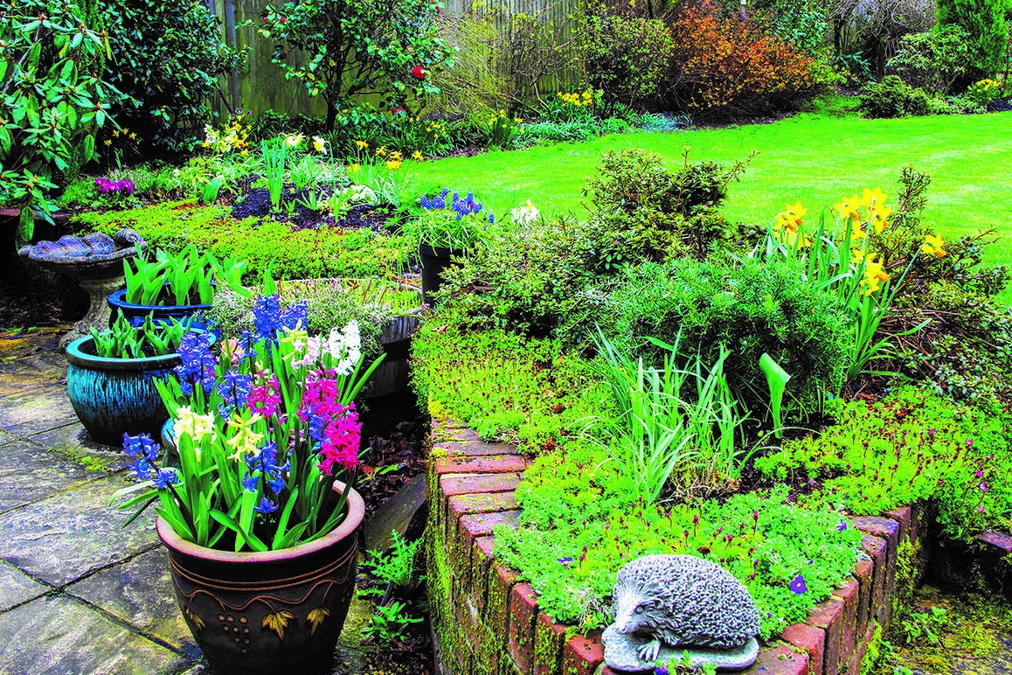 window box herb gardening for beginners