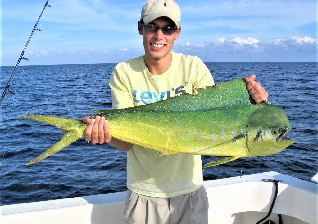 Mahi Mahi Fishing NC
