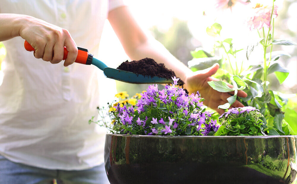 early spring gardening tips