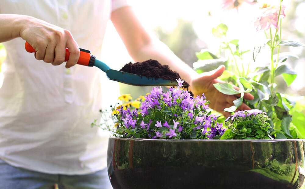 How does Hydroponic Gardening work?
