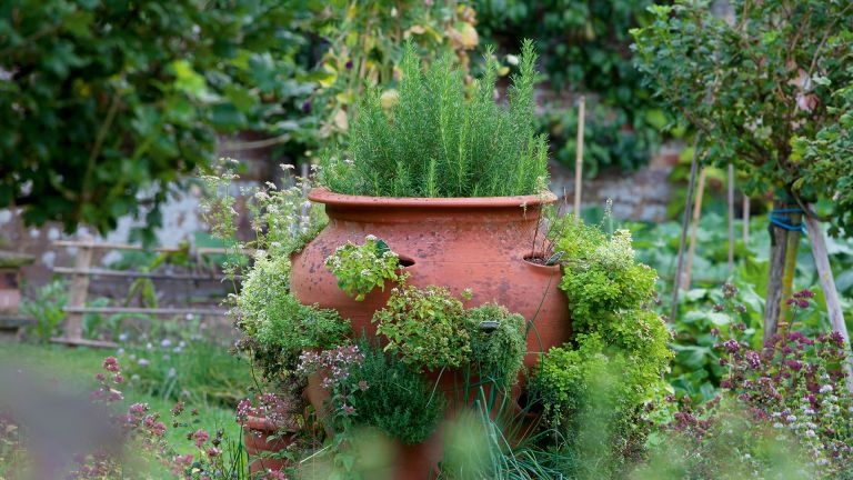 Easy Container Gardening Vegetables & Herbs
